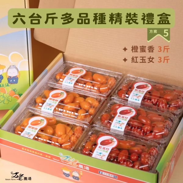 六多橙玉 番茄|多品項|禮盒精裝|6台斤