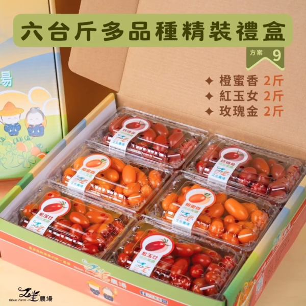 六多橙玉玫 番茄|多品項|禮盒精裝|6台斤