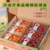 六多橙玫 番茄|多品項|禮盒精裝|6台斤
