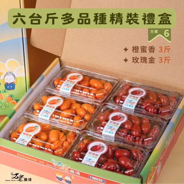 六多橙玫 番茄|多品項|禮盒精裝|6台斤