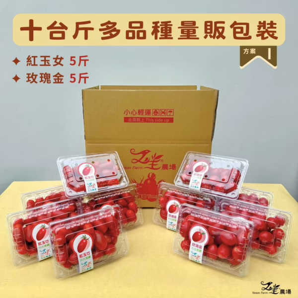 十多玉玫 番茄|多品項|量販包裝|10台斤