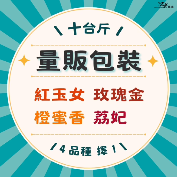 26-單十 番茄|單品項|量販包裝|10台斤