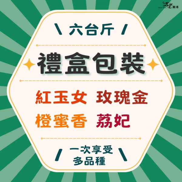 26-多六 番茄|多品項|禮盒精裝|6台斤